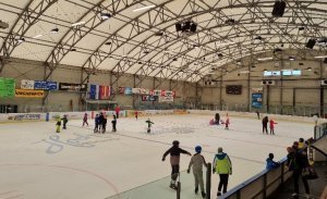 Rekreacijsko drsanje v Ledni dvorani Kranj med šolskimi počitnicami