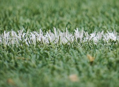 Športni park Primskovo/Kokrški Log