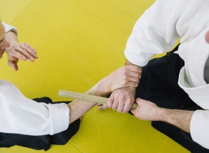 aikido