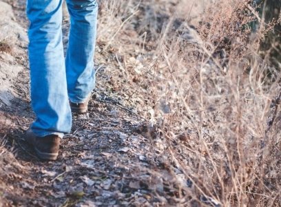 Meritve in testiranja